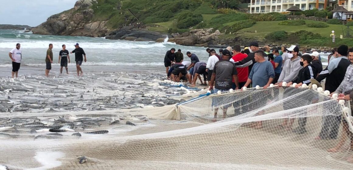 Costão do Santinho valoriza a cultura local e apoia a pesca artesanal