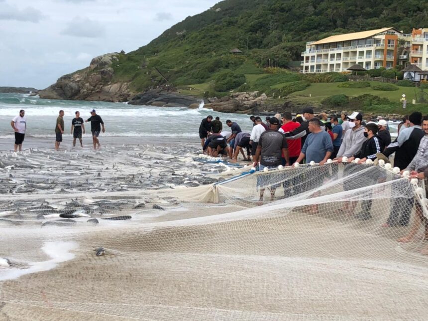 Costão do Santinho valoriza a cultura local e apoia a pesca artesanal