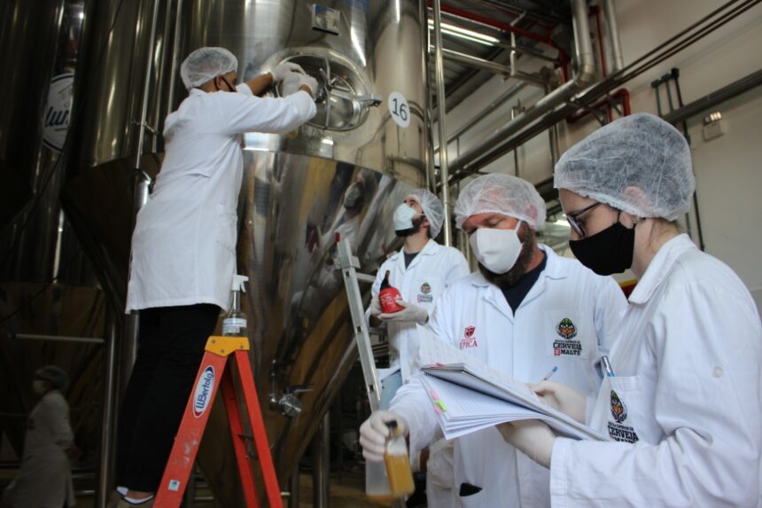 Pós-graduação em Tecnologia Cervejeira ganha formato inédito com práticas presenciais