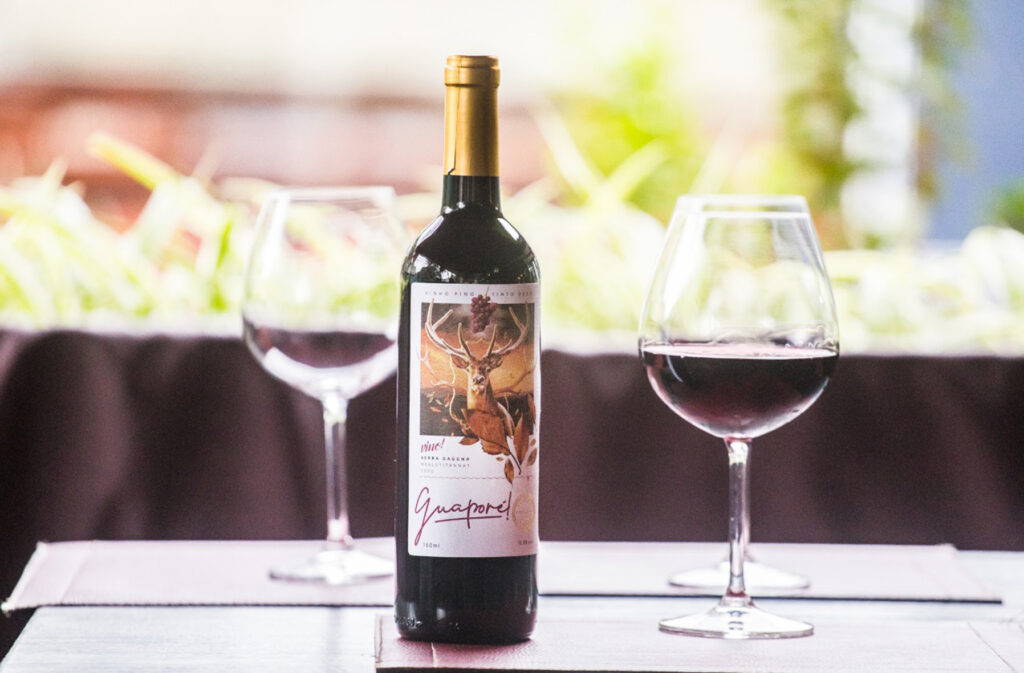 Vino Floripa! lança vinho com blend surpreendente de Tannat com Merlot