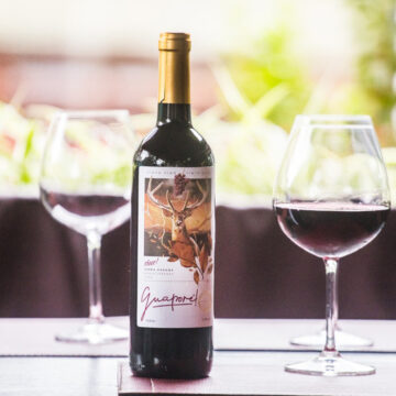 Vino Floripa! lança vinho com blend surpreendente de Tannat com Merlot