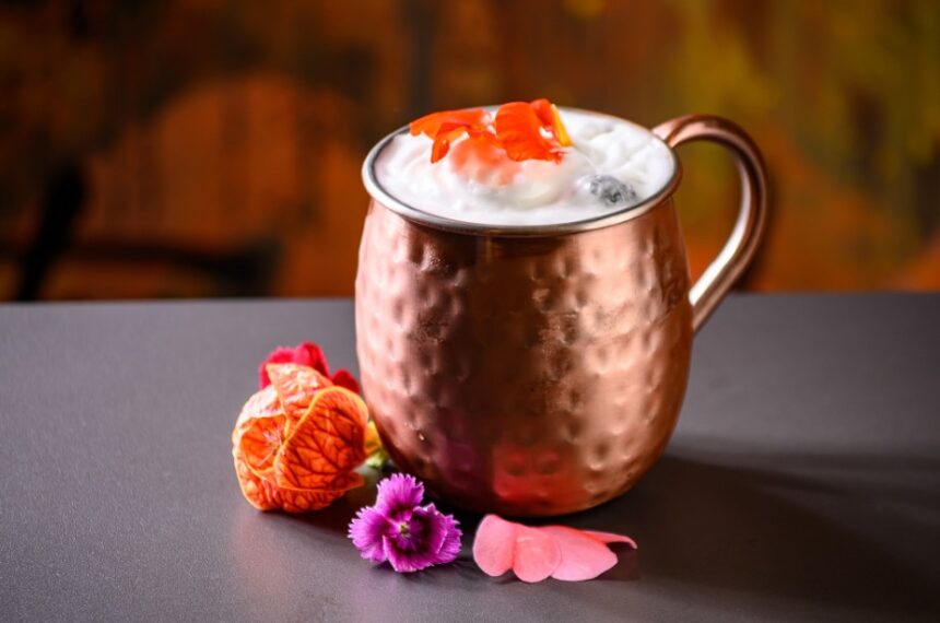 Aprenda a receita de moscow mule com cranberry