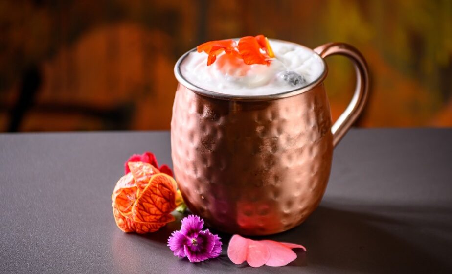 Aprenda a receita de moscow mule com cranberry