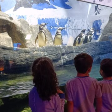 Grupo Oceanic recebe mais de 2 mil alunos em comemoração ao Dia Nacional da Alegria