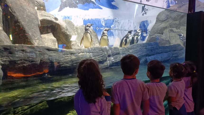 Grupo Oceanic recebe mais de 2 mil alunos em comemoração ao Dia Nacional da Alegria Grupo Oceanic recebe mais de 2 mil alunos em comemoração ao Dia Nacional da Alegria