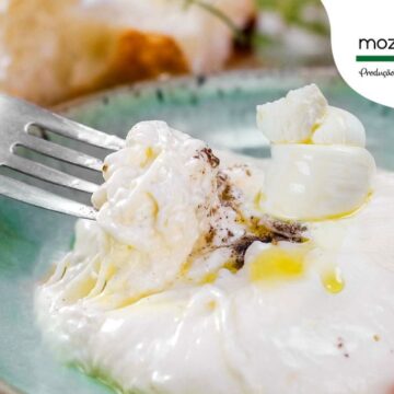 Mozzarellart inaugura Casa da Burrata em Balneário Camboriú Mozzarellart inaugura Casa da Burrata em Balneário Camboriú