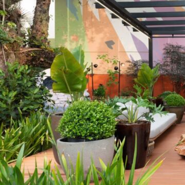 Espaço MOVAE: Lounge abriga jaqueiras centenárias em área de descanso na Casacor SC