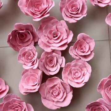 Univali recebe a exposição “Somos Rosas” Univali recebe a exposição “Somos Rosas”