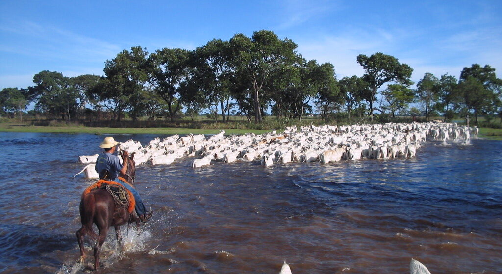 Mato Grosso do Sul recebe primeira edição do Pantanal Meat Festival