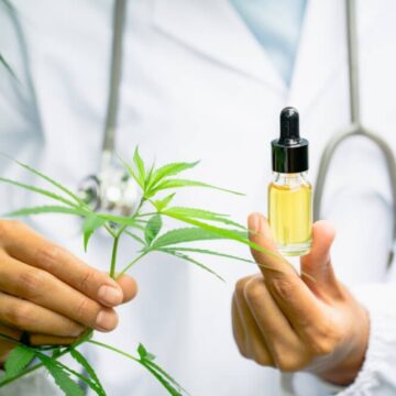 OAB/SC realiza primeiro seminário sobre cannabis em Santa Catarina