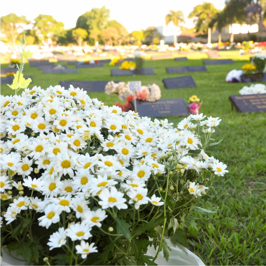 Cemitério Jardim da Saudade de Blumenau celebra Missa especial