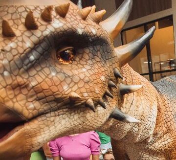 Exposição Mundo Jurássico vira sucesso de público e é prorrogada até 11 de abril no Porto Belo Outlet Premium