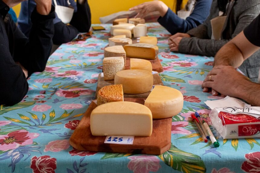 6ª edição do concurso Prêmio Queijo Brasil acontecerá em Blumenau 6ª edição do concurso Prêmio Queijo Brasil acontecerá em Blumenau