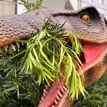 BC 59 anos: tem promoção para comemorar o aniversário da cidade