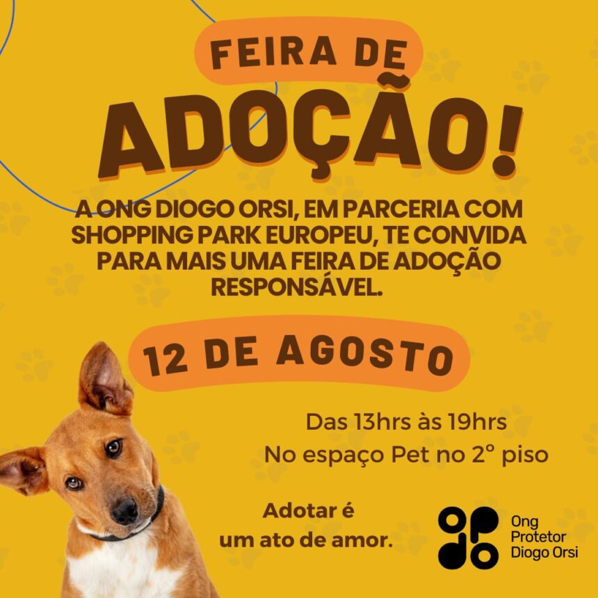 ONG realiza feira de adoção de cães resgatados em Blumenau