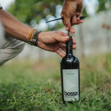 Vinícola Hermann inova em portfólio e lança catálogo com novas uvas Vinícola Hermann inova em portfólio e lança catálogo com novas uvas