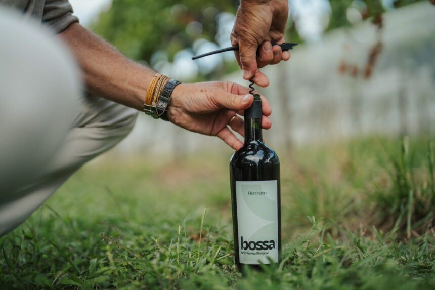 Vinícola Hermann inova em portfólio e lança catálogo com novas uvas
