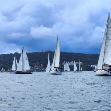 Veleiros disputam regata ao redor da Ilha de Porto Belo neste sábado, 25 Veleiros disputam regata ao redor da Ilha de Porto Belo neste sábado, 25