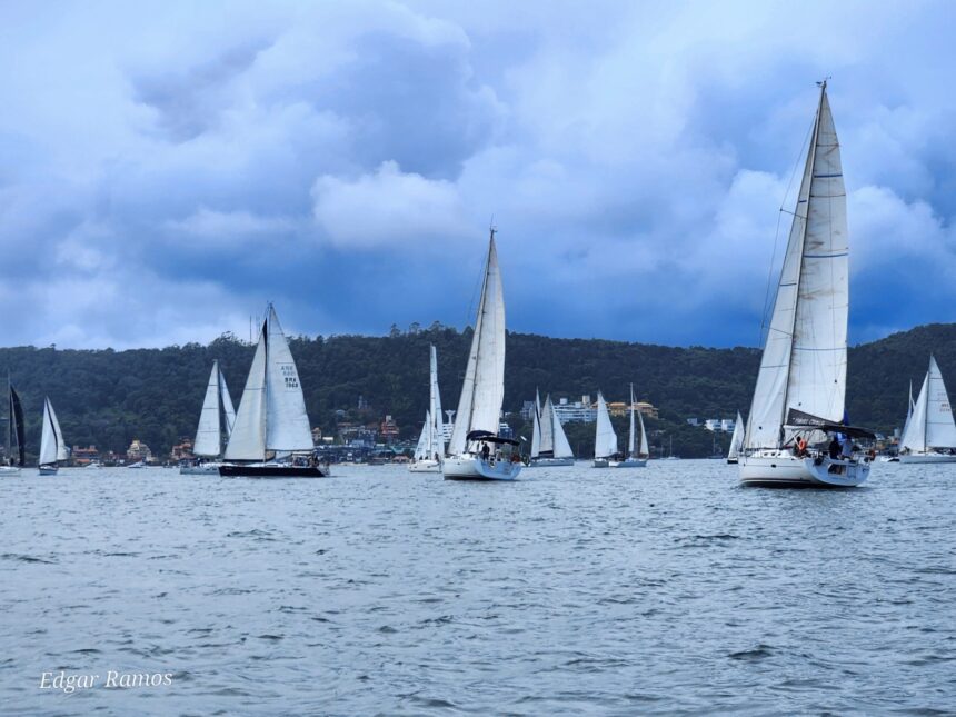 Veleiros disputam regata ao redor da Ilha de Porto Belo neste sábado, 25