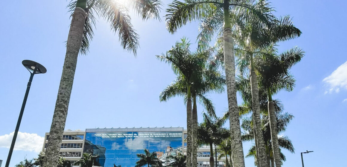 Passeio Pedra Branca comemora uma década