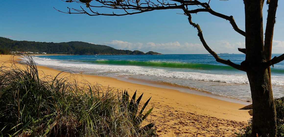 Balneário Camboriú tem bairro que é refúgio em meio à natureza