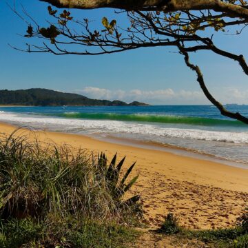 Balneário Camboriú tem bairro que é refúgio em meio à natureza Balneário Camboriú tem bairro que é refúgio em meio à natureza