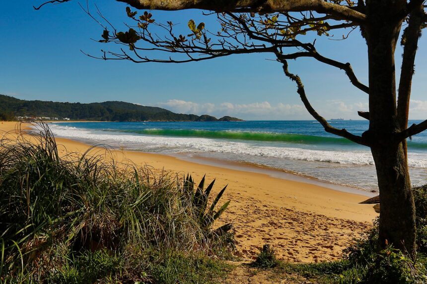 Balneário Camboriú tem bairro que é refúgio em meio à natureza