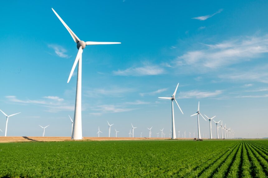 Embraed compensa emissões de carbono e financia projeto de geração de energia eólica
