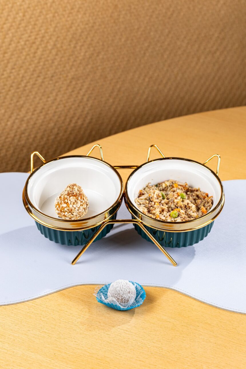 Com risoto de frango, coxinha de legumes e doce ‘beijinho’, festival gastronômico em SC terá pratos especiais para pets