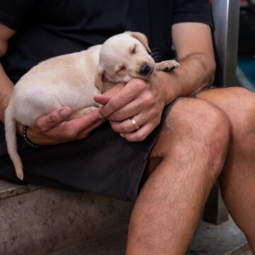 Balneário Shopping realiza feira de adoção de Pet, em parceria com a ONG Defesa Animal