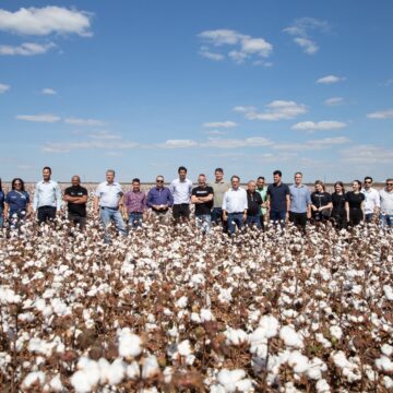 Empresários do setor têxtil embarcam em missão para desbravar o cultivo do algodão em Campo Verde (MT)