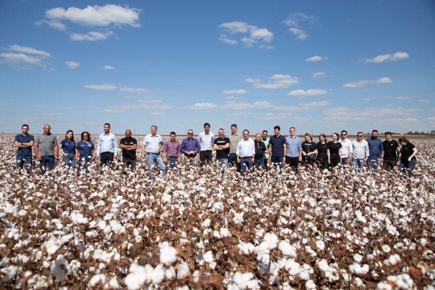 Empresários do setor têxtil embarcam em missão para desbravar o cultivo do algodão em Campo Verde (MT)