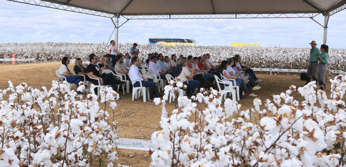 Grupo Açucena, de SC, participa da 4ª edição da Cotton Trip