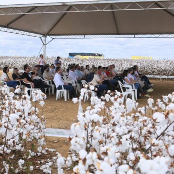 Grupo Açucena, de SC, participa da 4ª edição da Cotton Trip