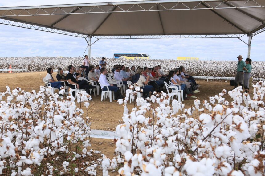 Grupo Açucena, de SC, participa da 4ª edição da Cotton Trip Grupo Açucena, de SC, participa da 4ª edição da Cotton Trip