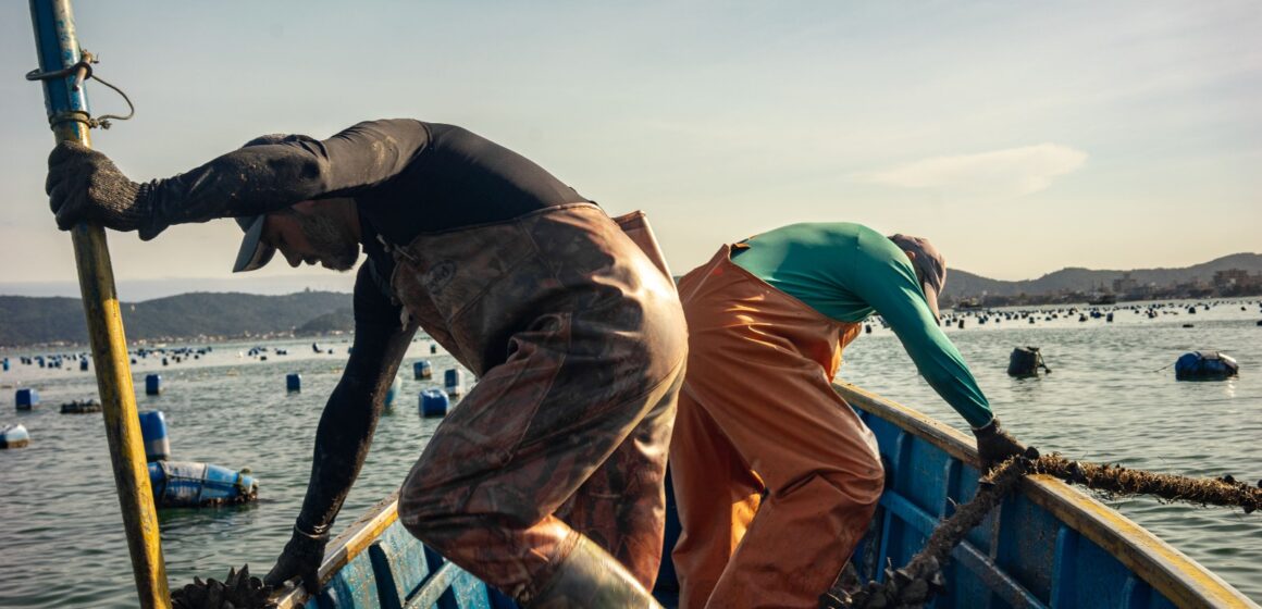 Projeto fotodocumental registra o trabalho de maricultores de Bombinhas