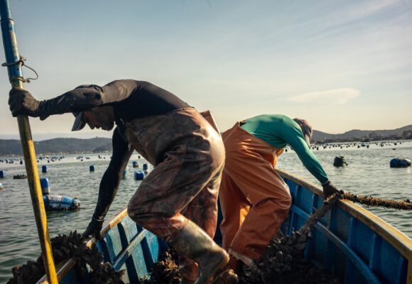 Projeto fotodocumental registra o trabalho de maricultores de Bombinhas