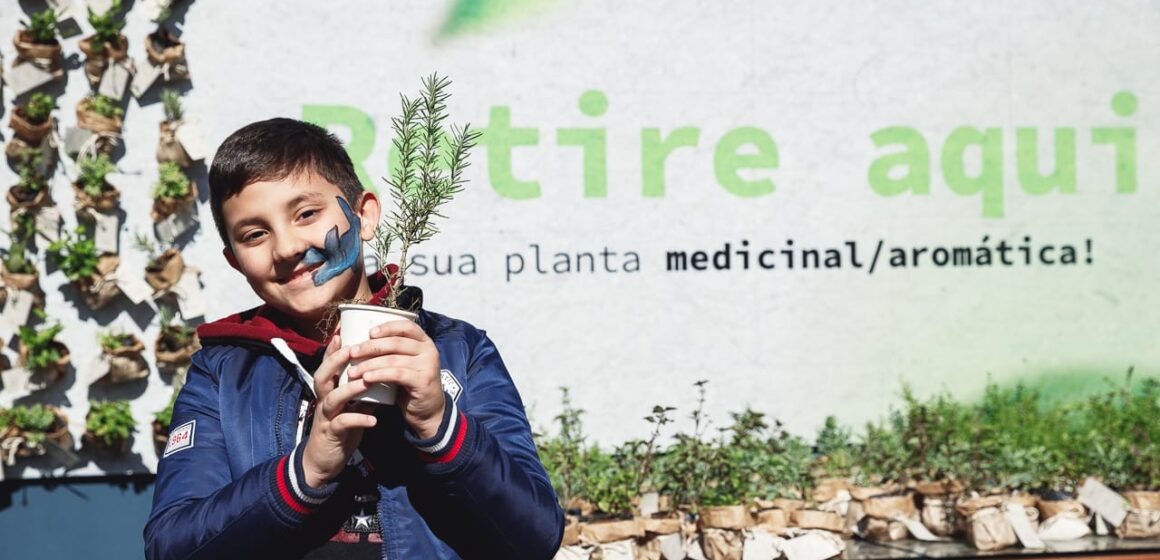 Sábado tem Circuito do Meio Ambiente com distribuição de 1,5 mil mudas de plantas aromáticas em Balneário Camboriú