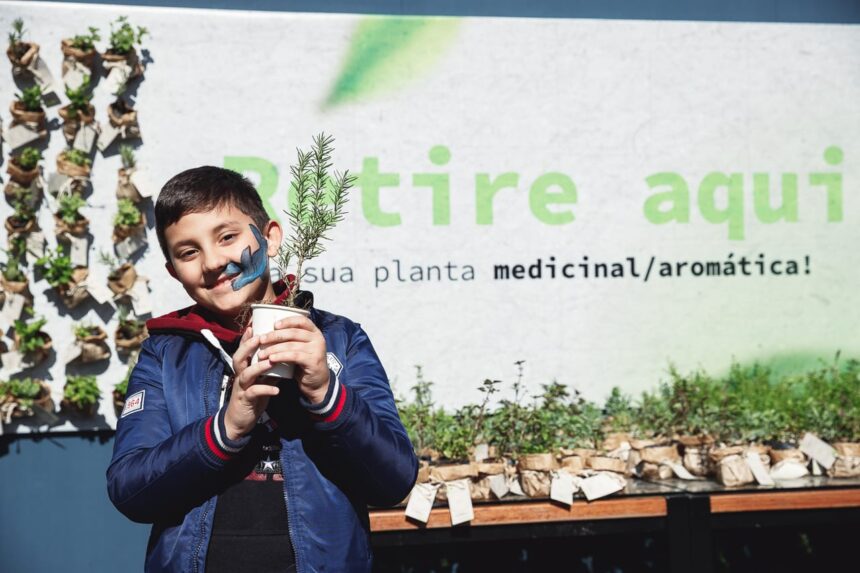 Sábado tem Circuito do Meio Ambiente com distribuição de 1,5 mil mudas de plantas aromáticas em Balneário Camboriú