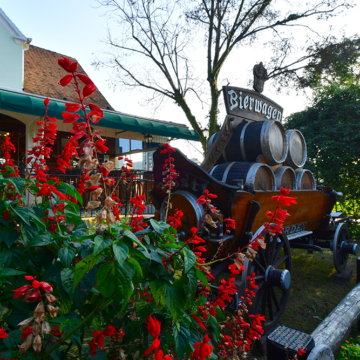 Norden Bar & Biergarten terá dia dedicado à cultura country e gastronomia típica