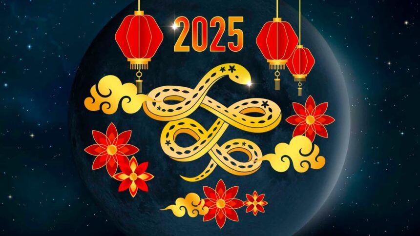Ano Novo Chinês será marcado por homenagens inéditas em SC