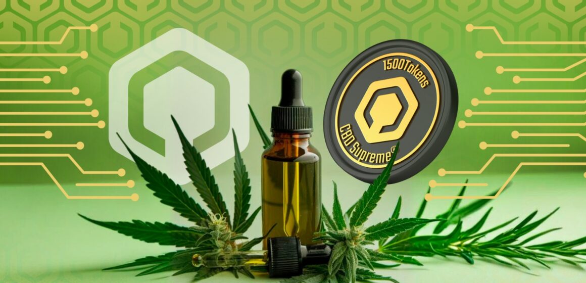 Brasileiro lança clube de assinatura de Cannabis medicinal