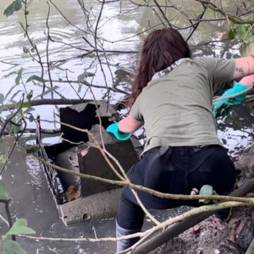 Participe da ação “Todos Pelo Rio Camboriú” e ganhe ingresso para o Oceanic Aquarium