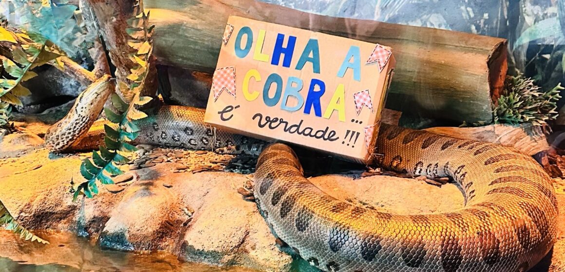 Arraial animal: clima junino chega ao aquário em Balneário Camboriú (SC)