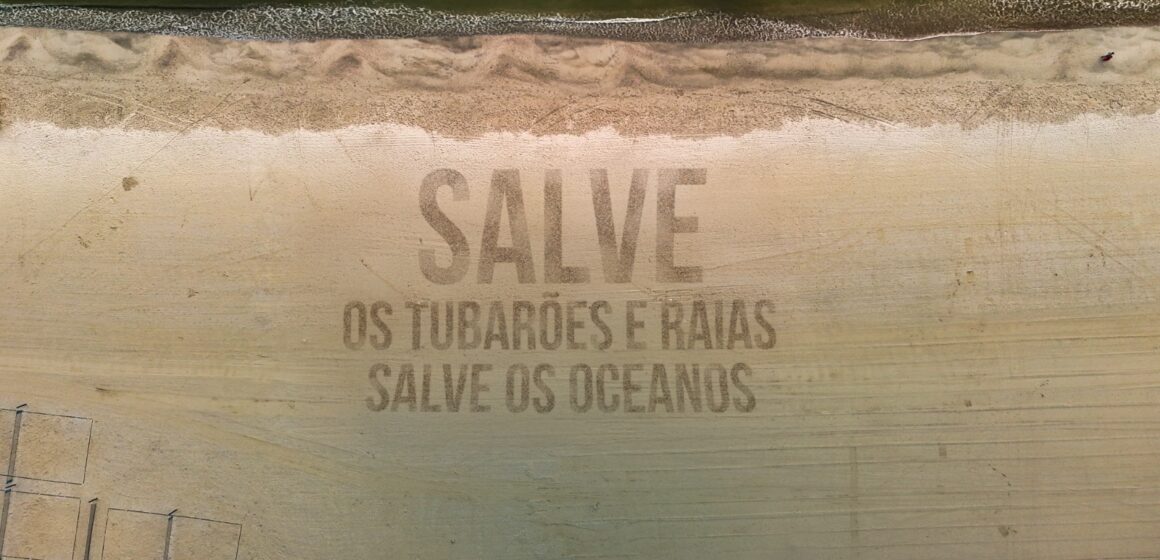 Oceanic Aquarium realiza ação alusiva ao Dia Mundial de Conscientização sobre Tubarões e Raias