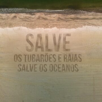Oceanic Aquarium realiza ação alusiva ao Dia Mundial de Conscientização sobre Tubarões e Raias