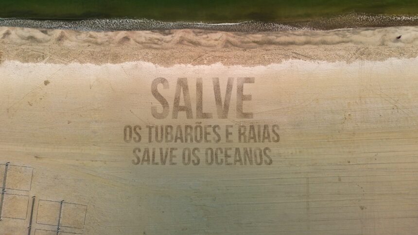 Oceanic Aquarium realiza ação alusiva ao Dia Mundial de Conscientização sobre Tubarões e Raias