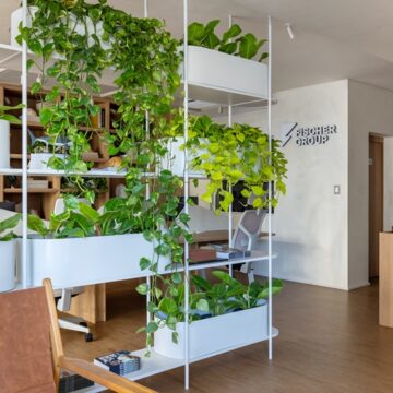 Arte, luz e biofilia: conheça a nova sede do grupo que vai erguer o primeiro edifício-árvore do Brasil