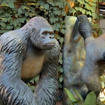 Réplicas gigantes de animais selvagens invadem o Porto Belo Outlet Premium