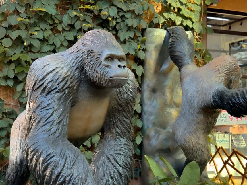 Réplicas gigantes de animais selvagens invadem o Porto Belo Outlet Premium